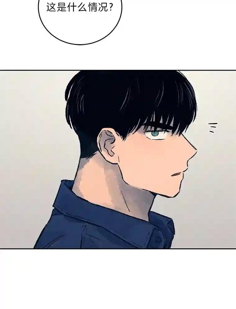 14.顺利落网