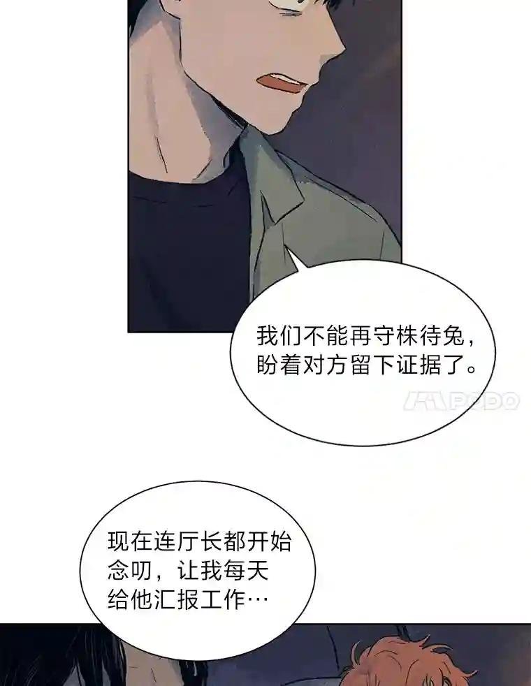 4.突如其来的喜讯