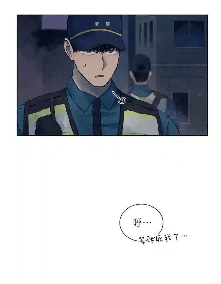 4.突如其来的喜讯