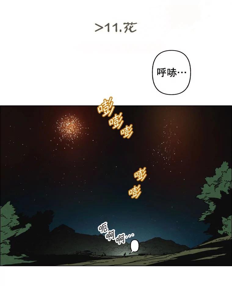 11.花