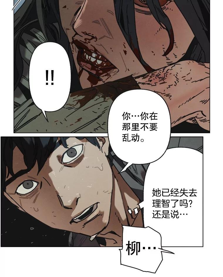 11.花