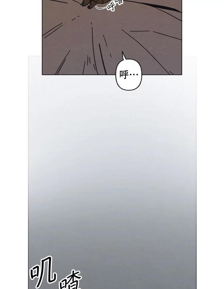 11.花