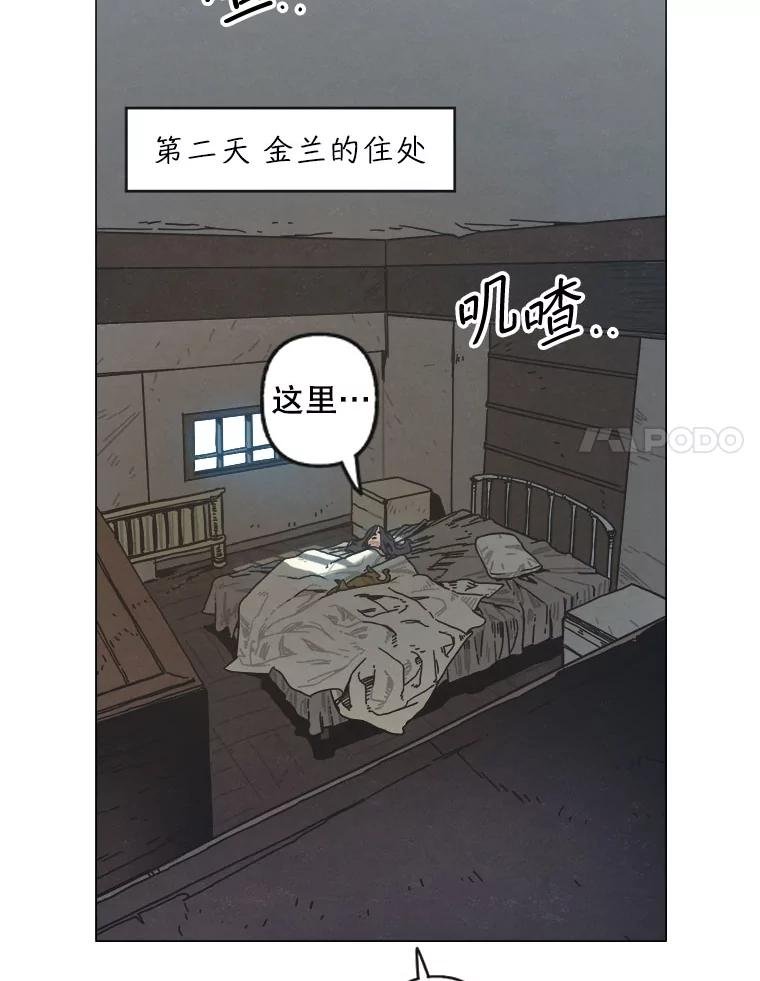 11.花