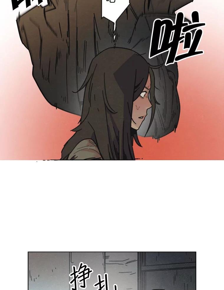 11.花