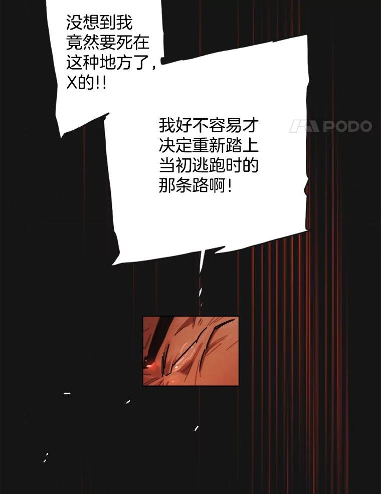 11.花
