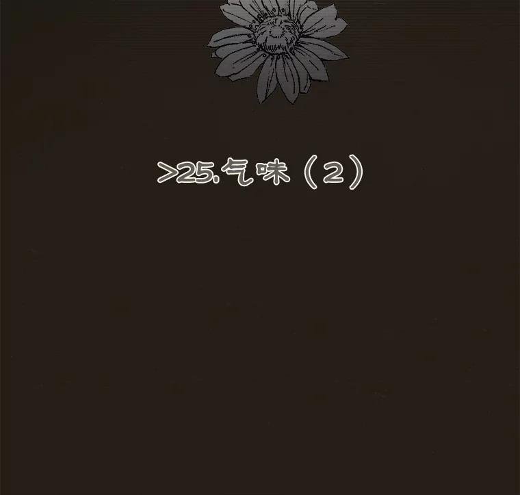 25.气味（2）