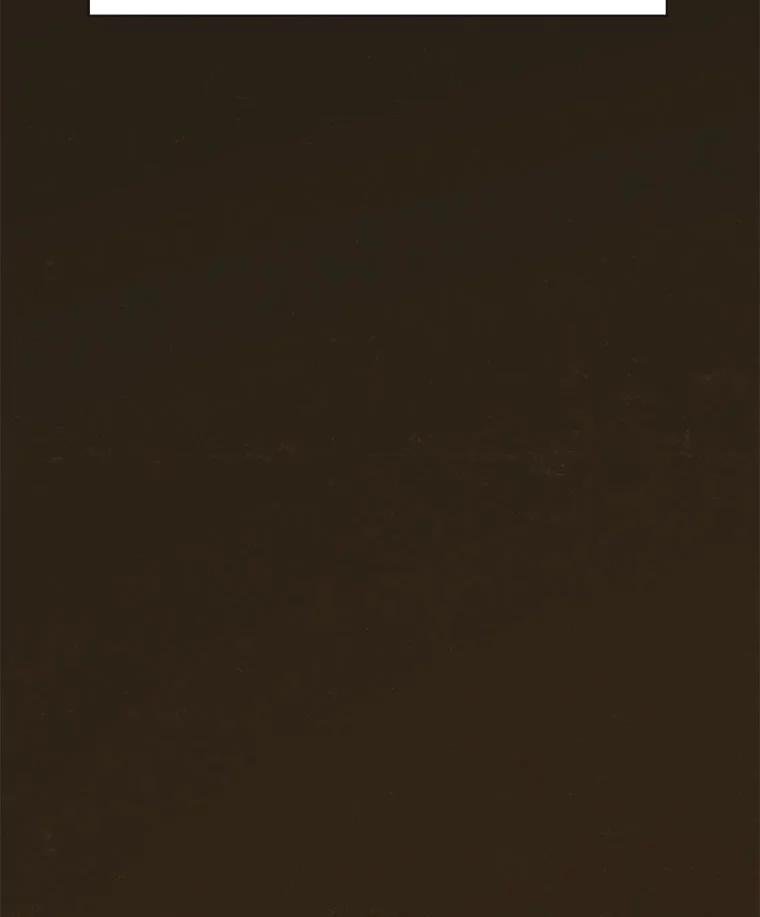 25.气味（2）