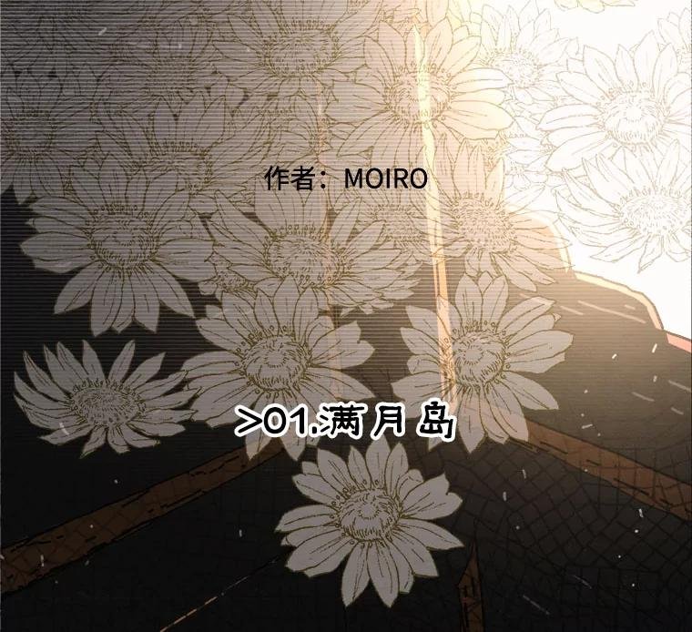 1.满月岛