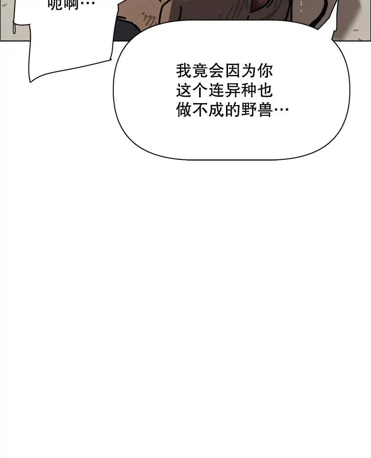 31.猛兽（完）