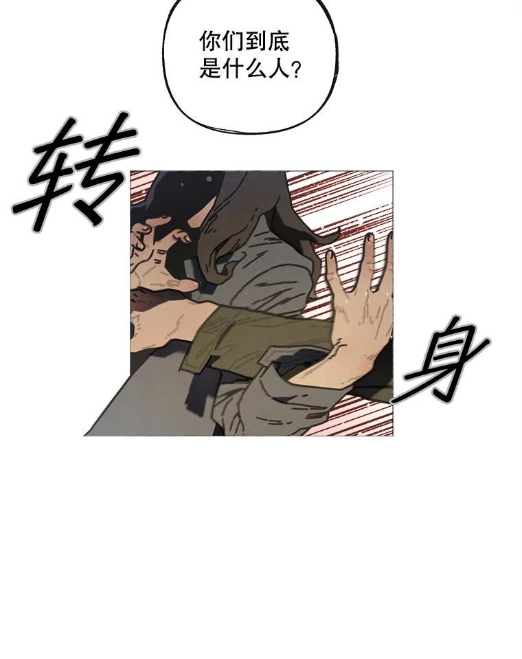 4.命脉
