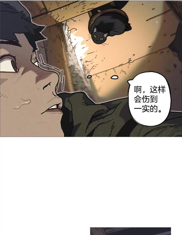 4.命脉