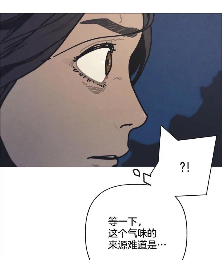 5.友军