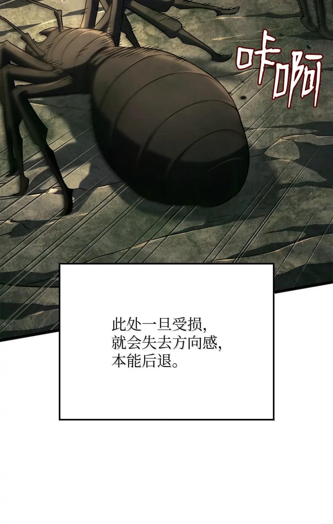 95 学院英雄