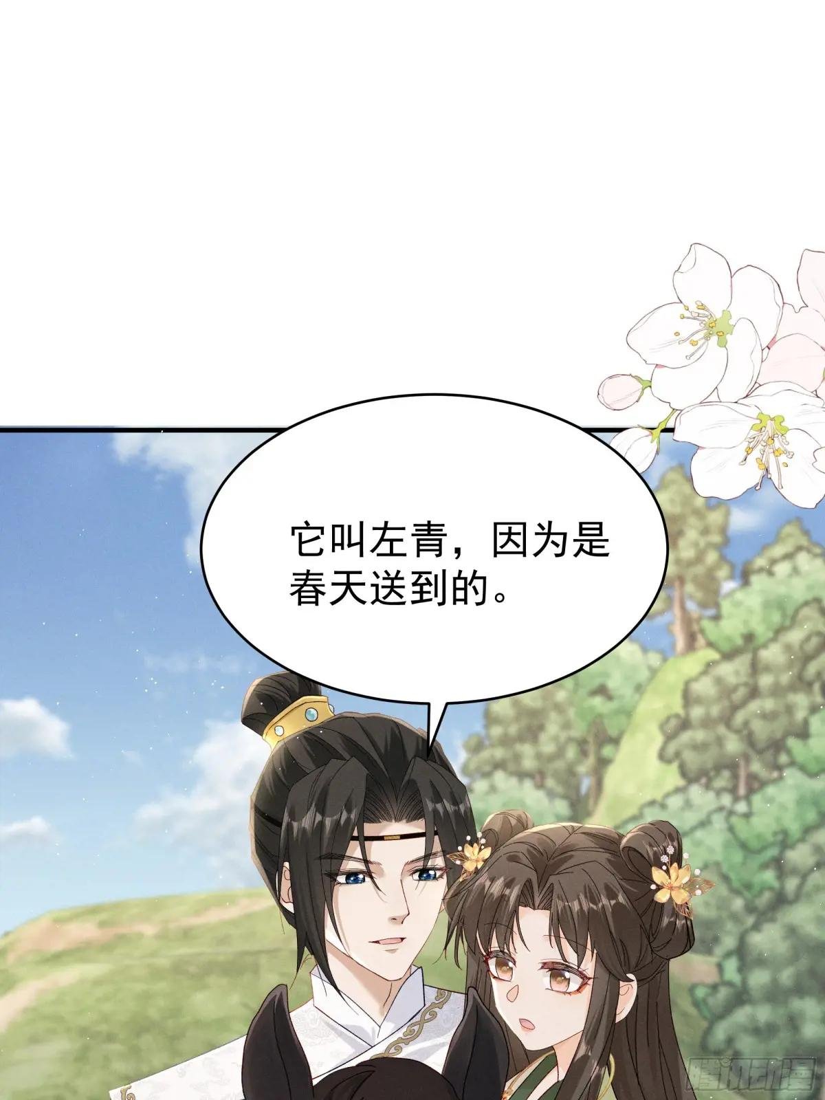 搞笑小乔再斗腹黑段玉！