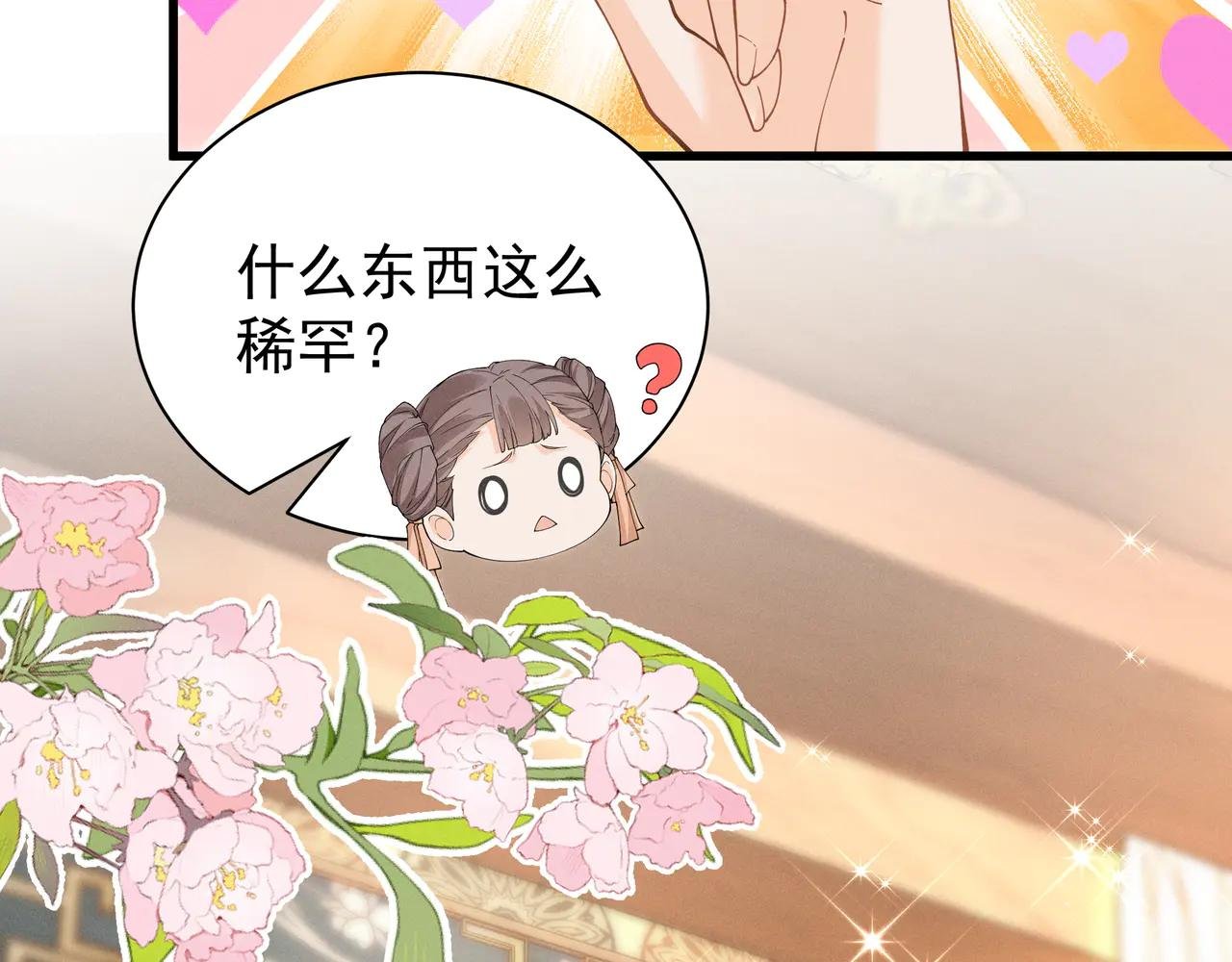 小乔想吃巧克力啦！