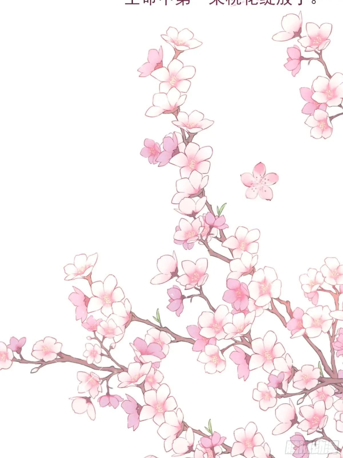 告别铁锅美男！顾清乔迎来亲事！