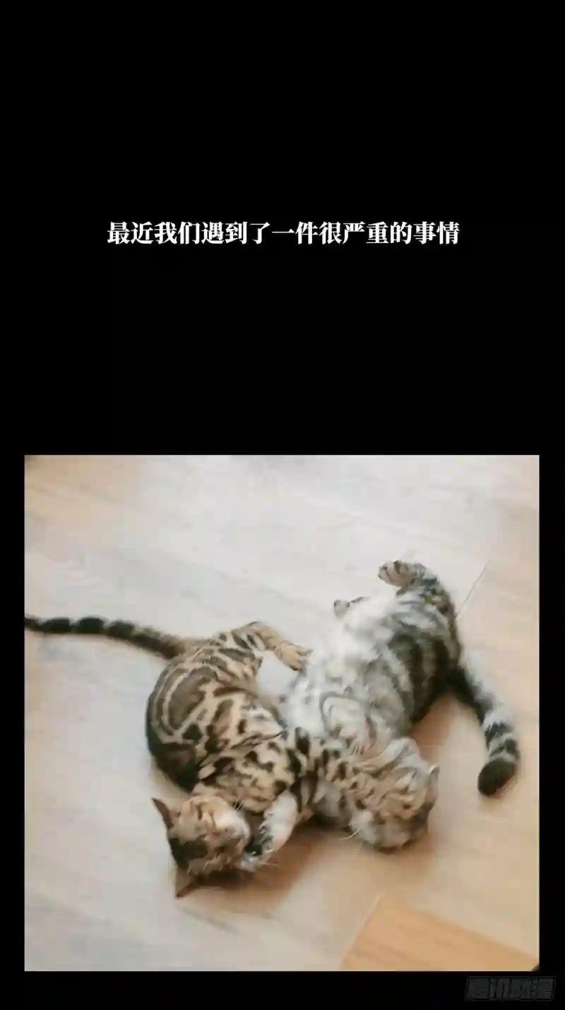 第一百零二章\/上古妖灵中
