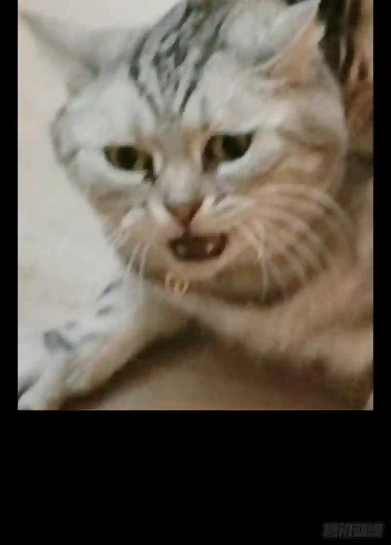 第一百零二章\/上古妖灵中