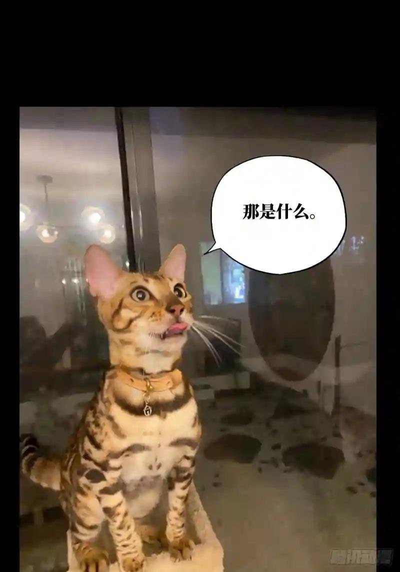 第一百零三章\/上古妖灵下
