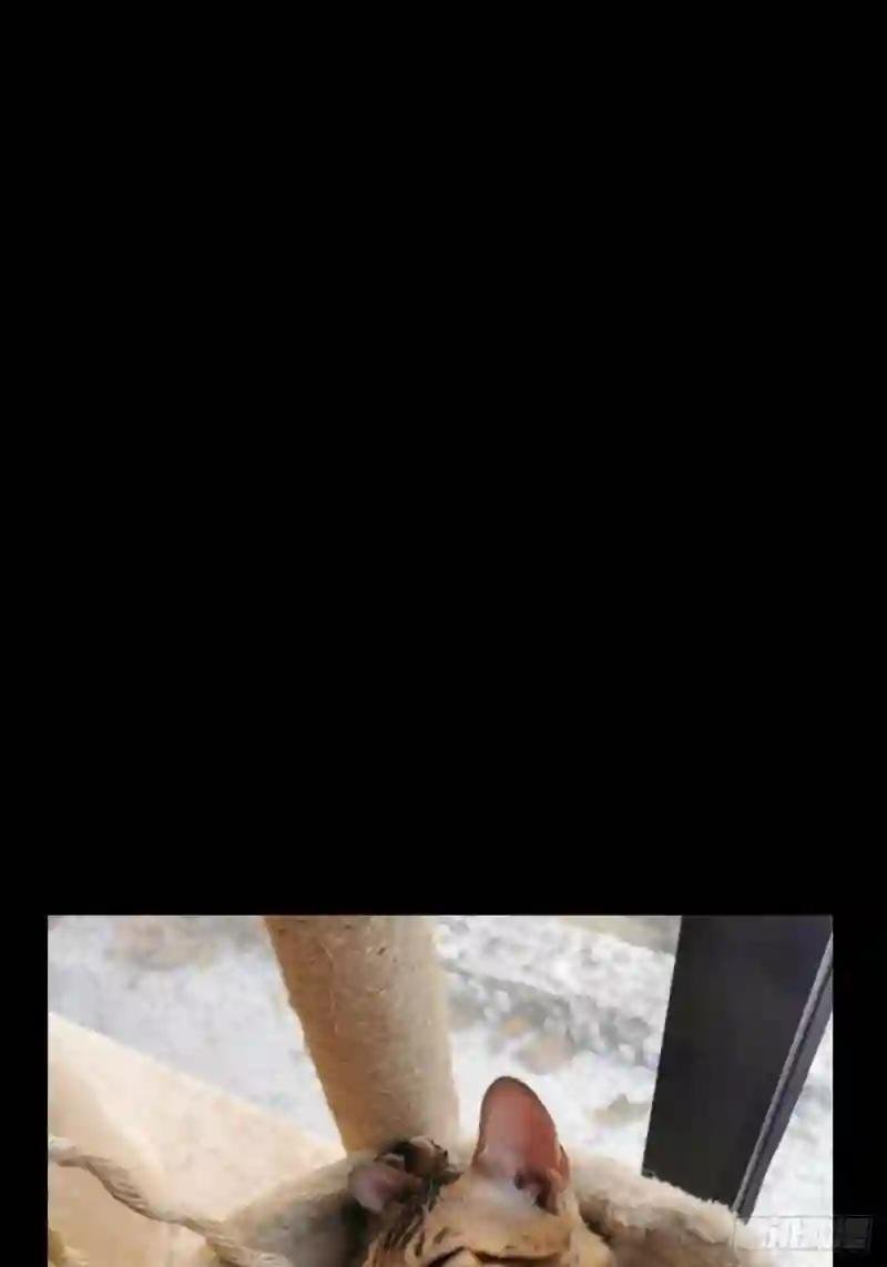 第一百一十一章\/封锁中