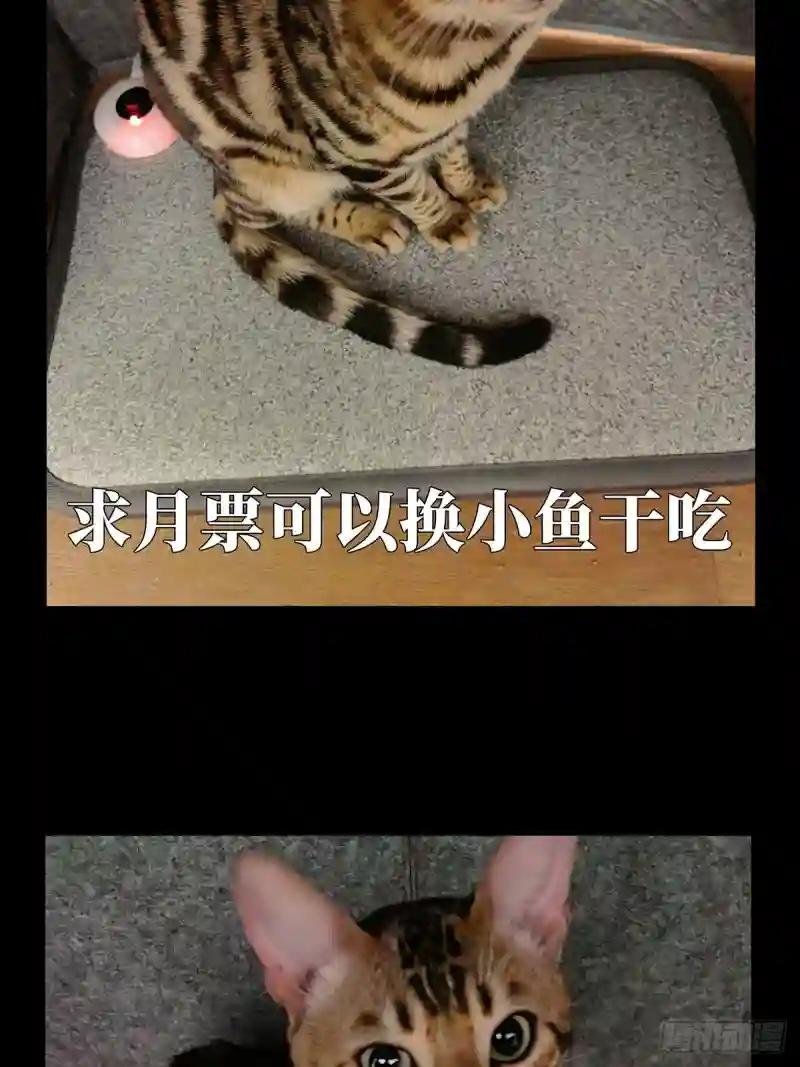 第一百一十八章\/灵域下