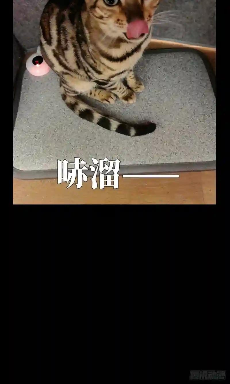 第一百一十八章\/灵域下