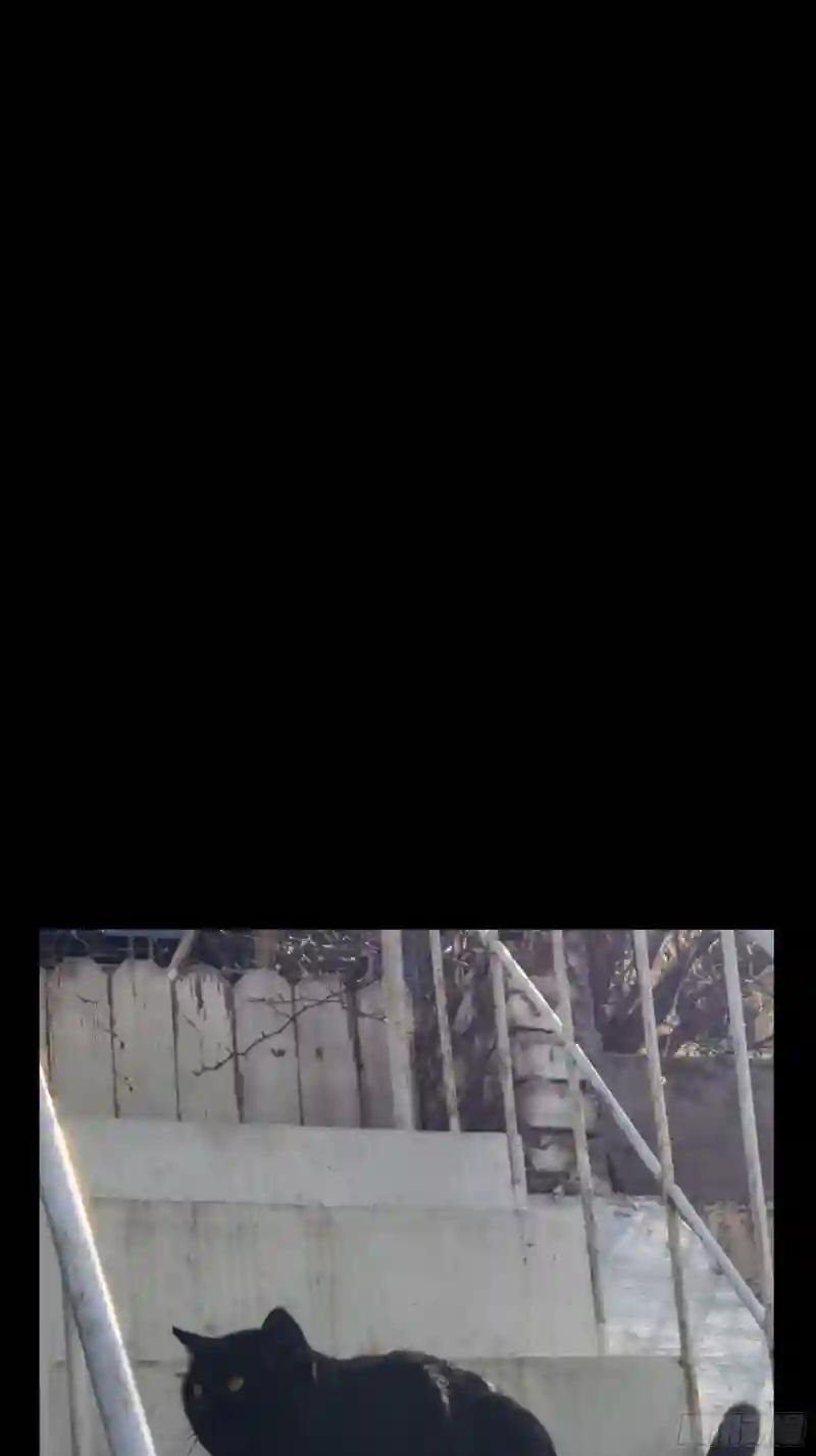 第一百一十九章\/对手上