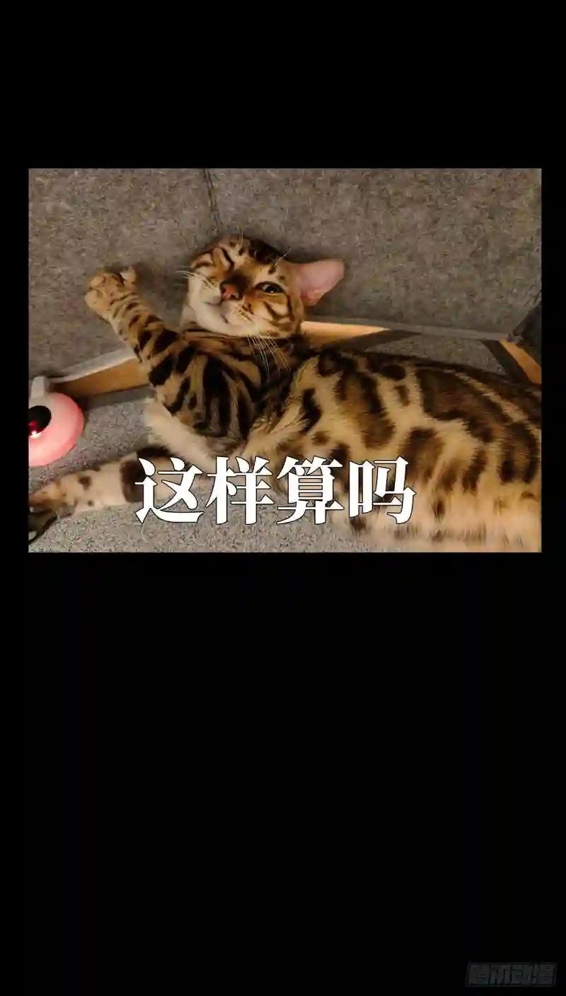 第一百二十章\/对手中