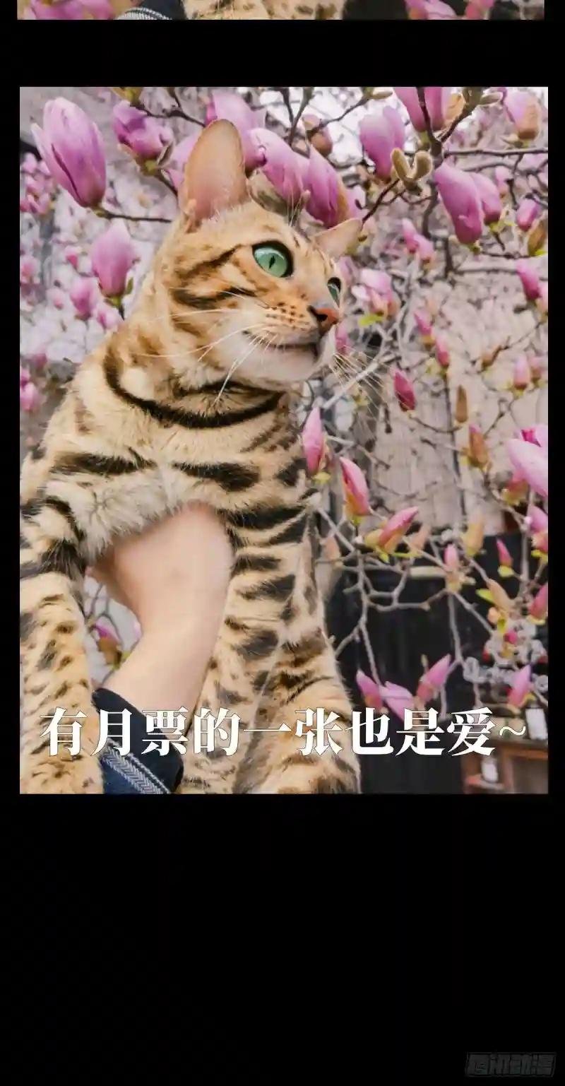第一百二十七章\/情感下