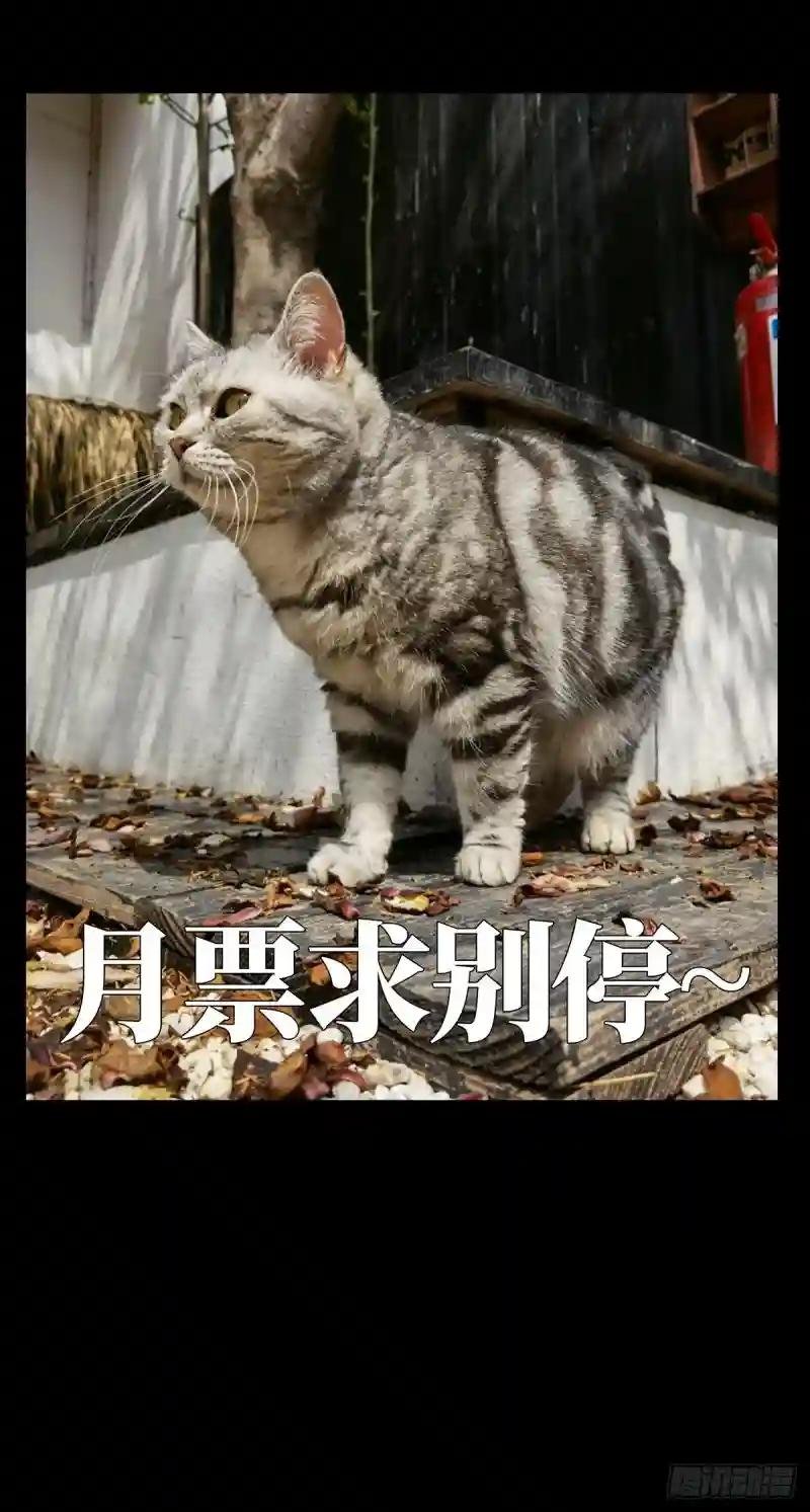 第一百二十八章\/情愫上