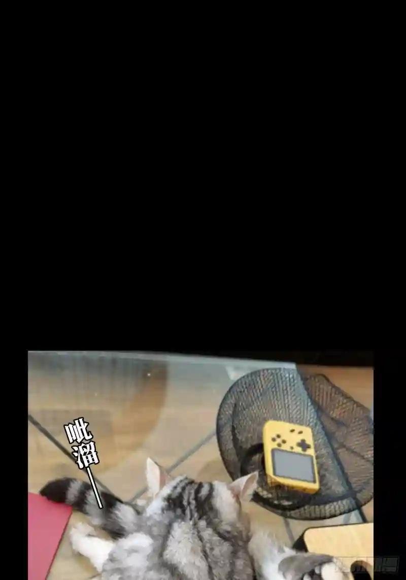 第一百三十七章\/我是王道奇上