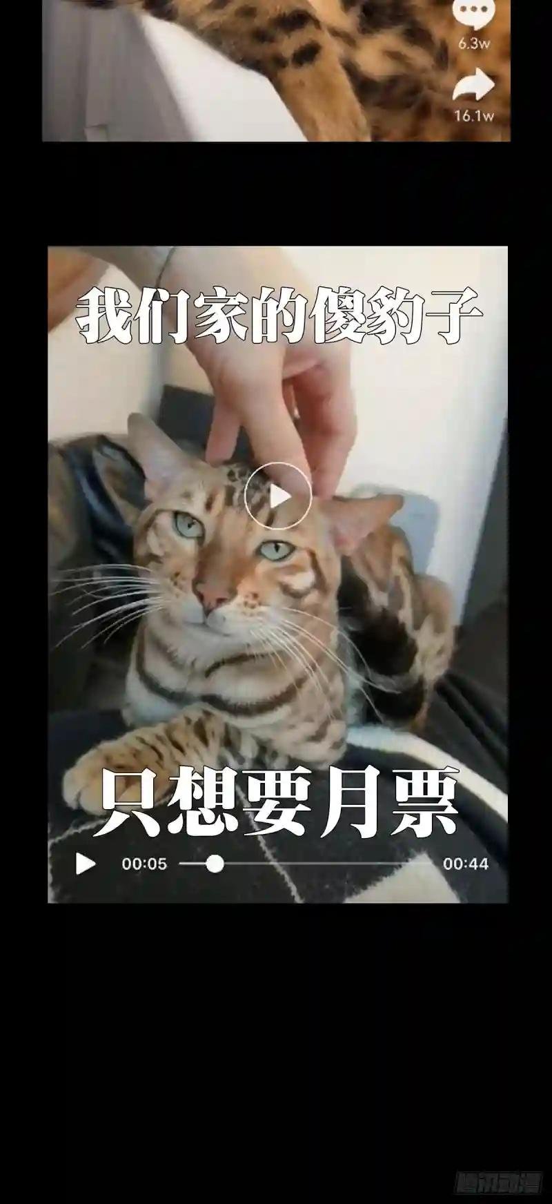 第一百六十一章\/会议上
