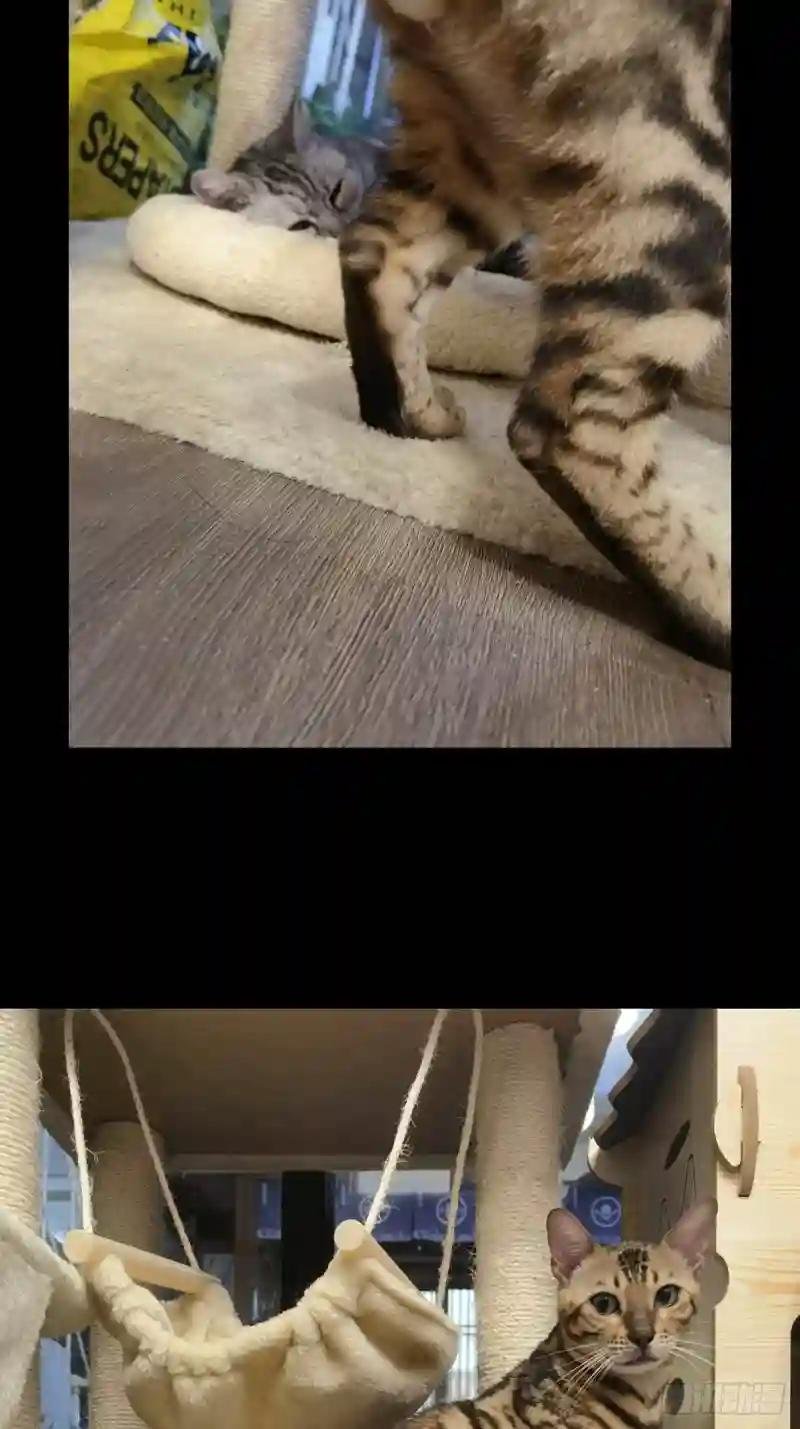 第一百六十三章\/会议下