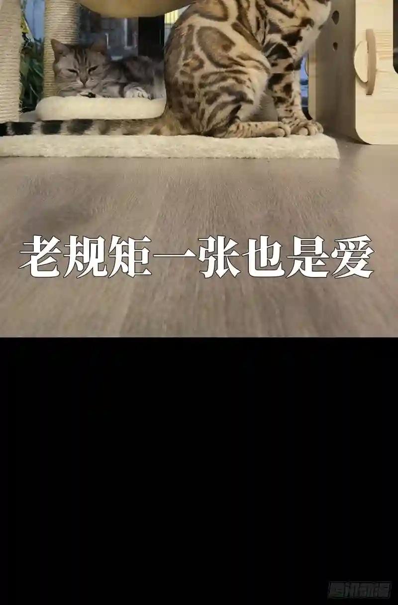 第一百六十三章\/会议下