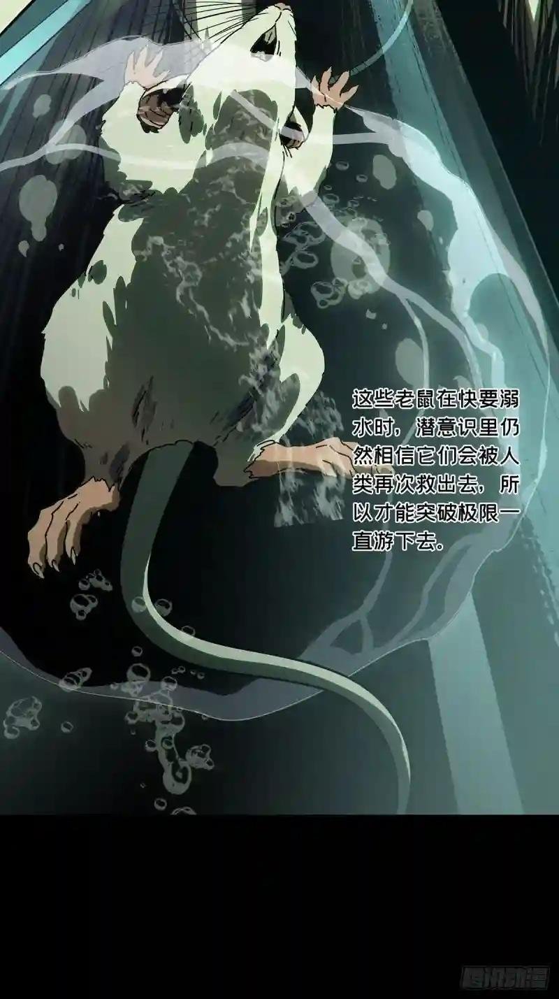 第一百六十八章\/希望中