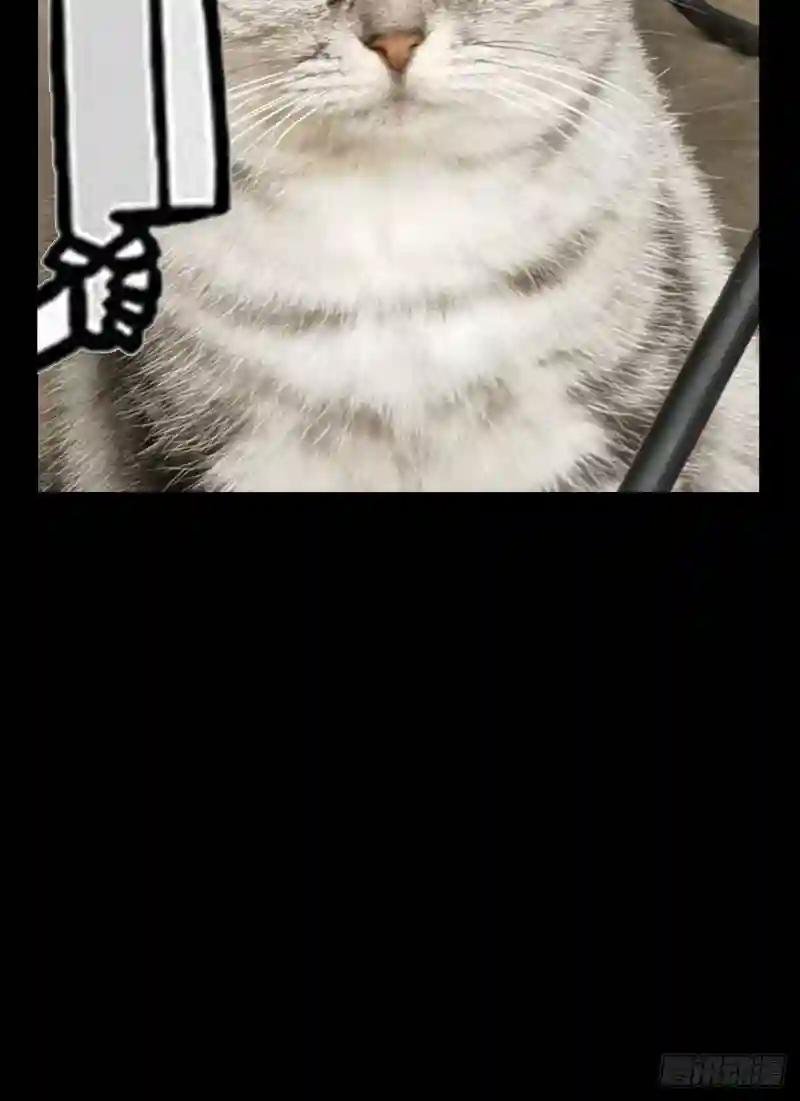 第一百六十八章\/希望中