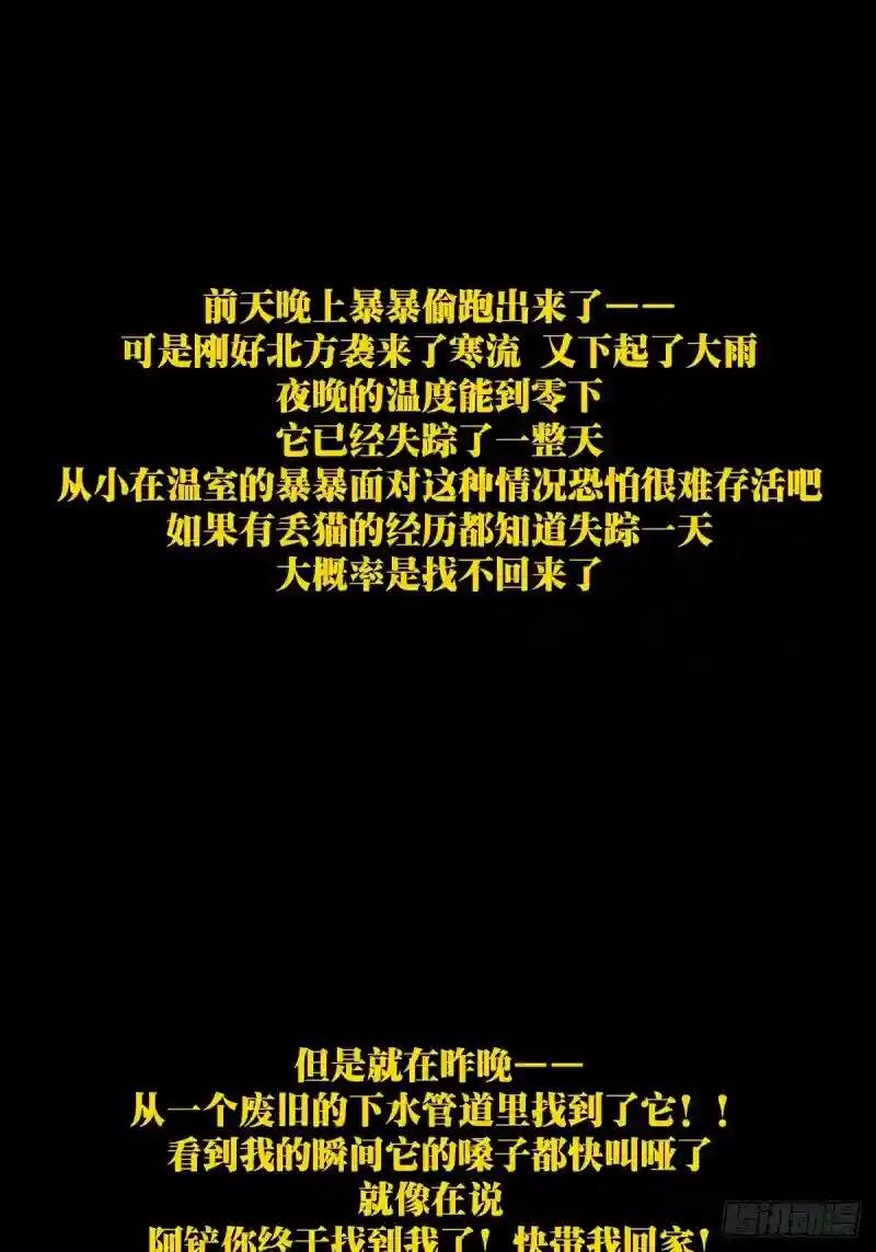 第一百七十章\/月茫岛上
