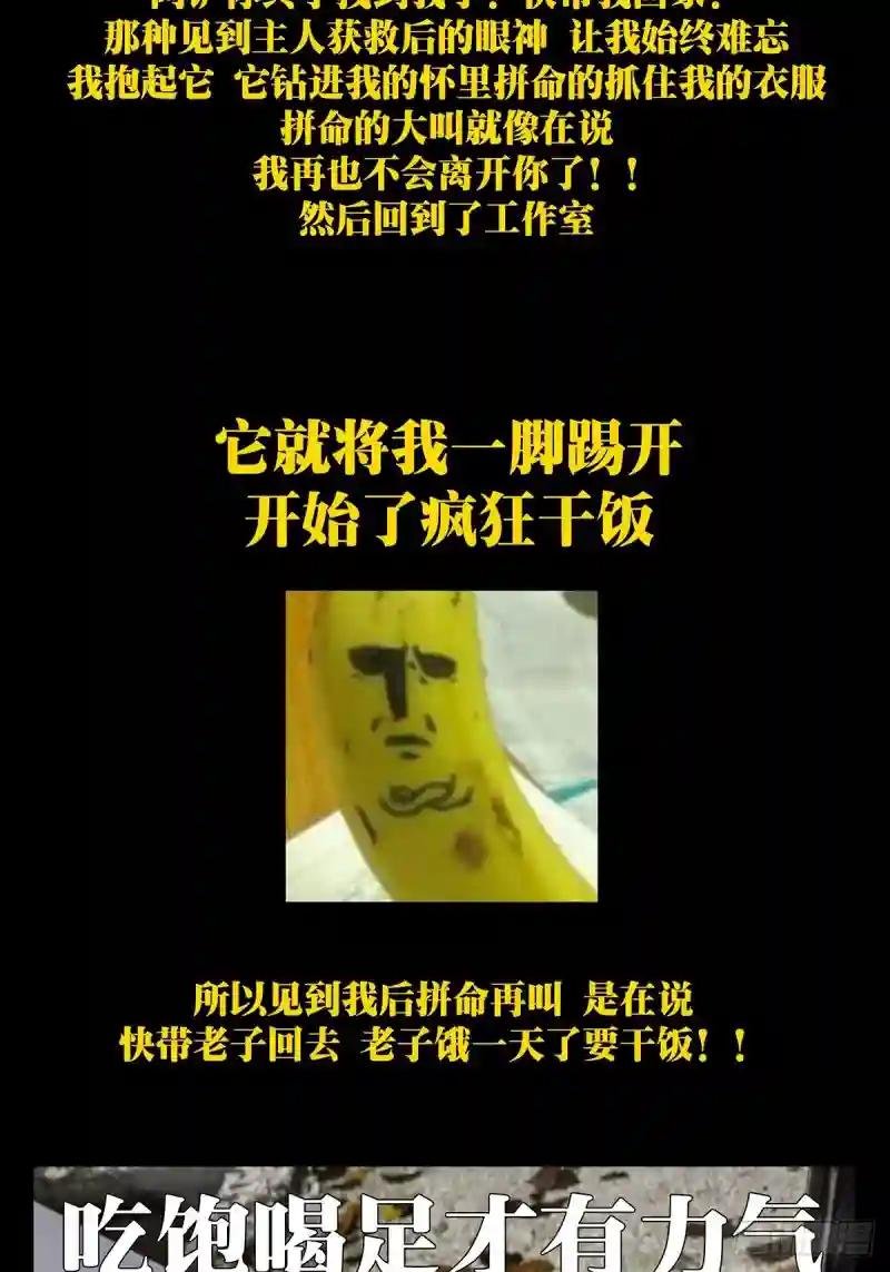 第一百七十章\/月茫岛上