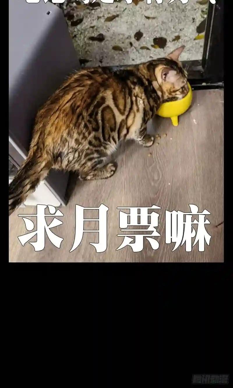 第一百七十章\/月茫岛上