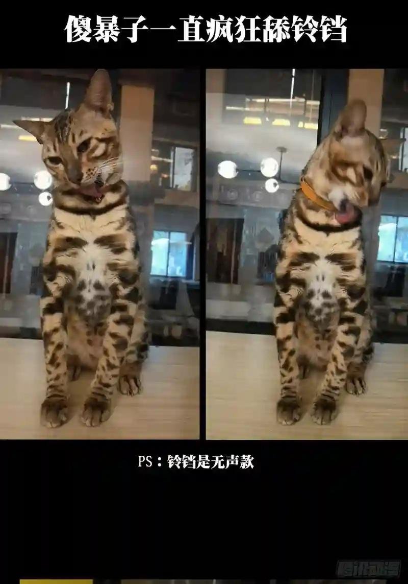 第一百七十九章\/死斗开始上