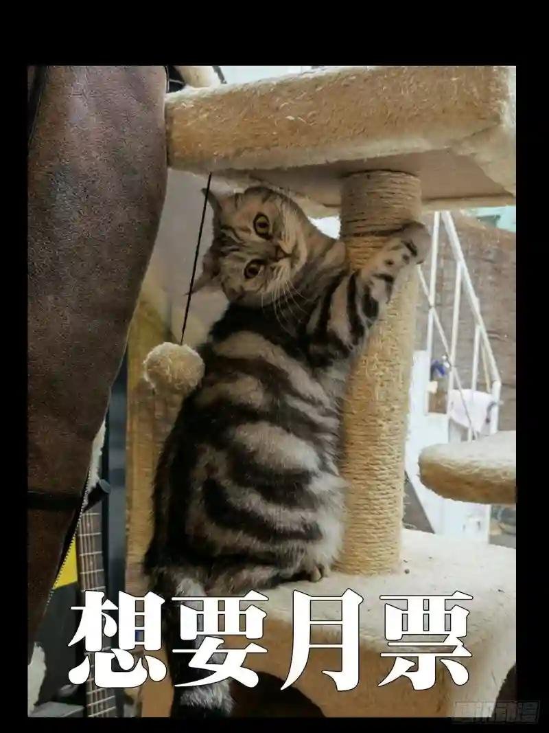 第一百八十八章\/反击上
