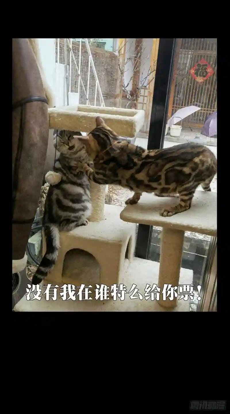 第一百八十八章\/反击上