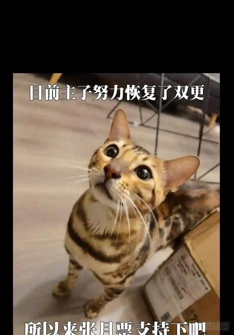 第一百八十九章\/反击中