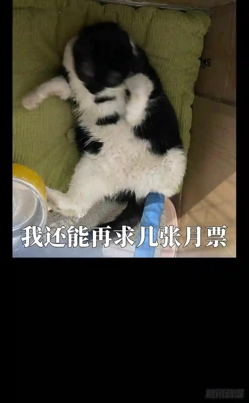 第一百九十八章\/轻敌中