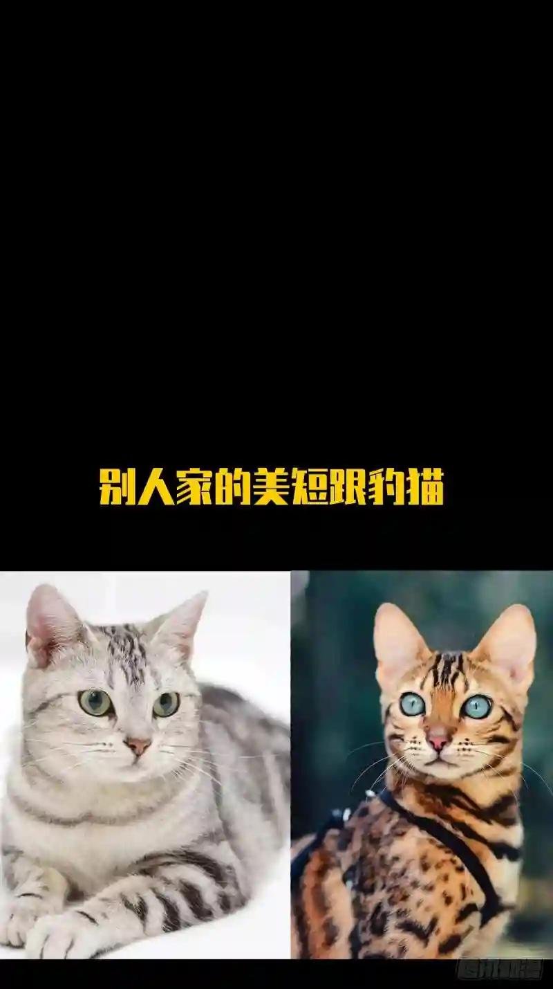 第二百零八章\/飞蛾扑火下