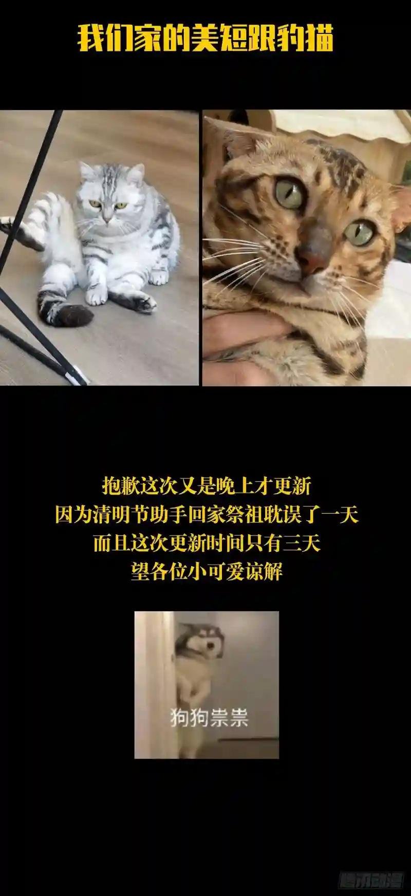 第二百零八章\/飞蛾扑火下