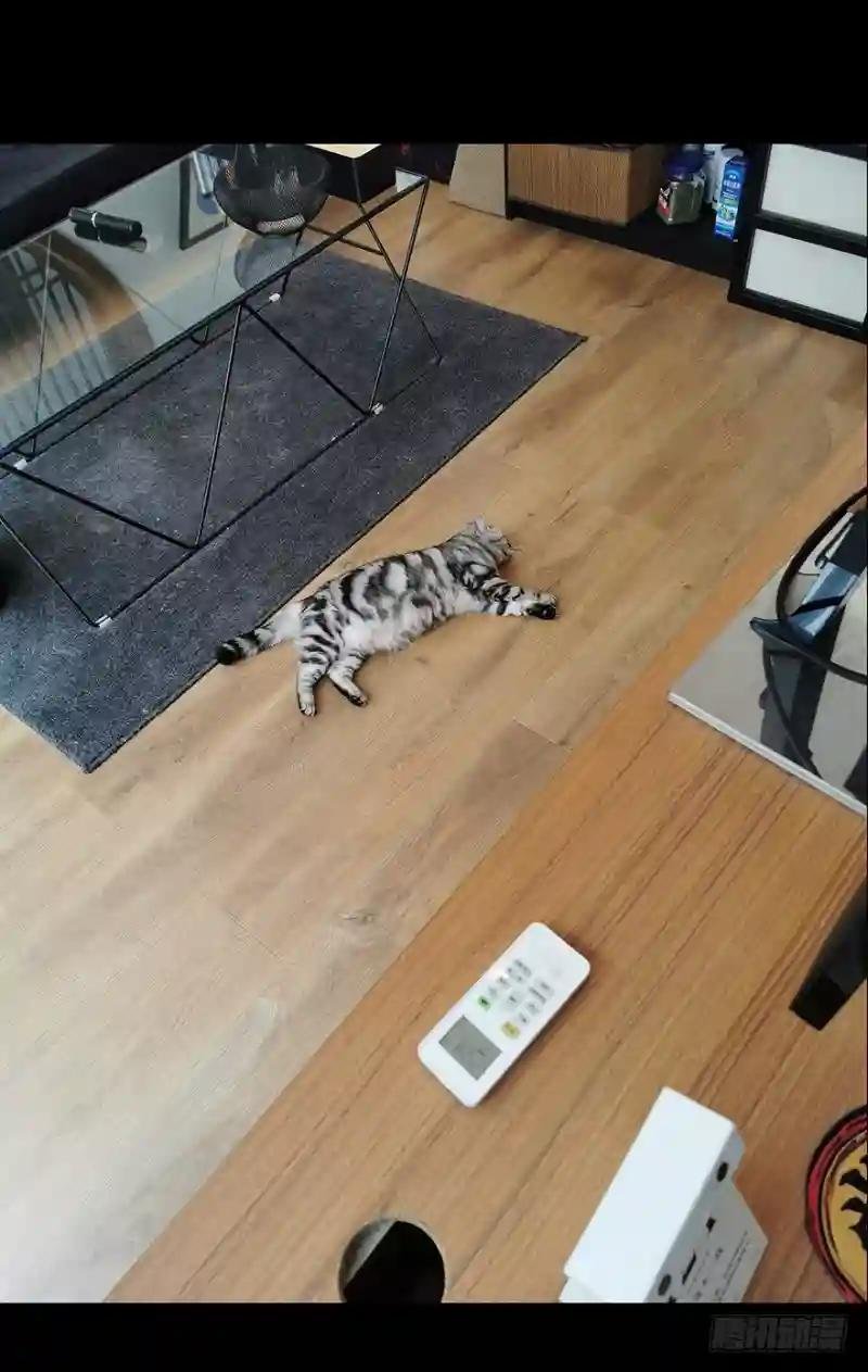 第二十二章\/同居下