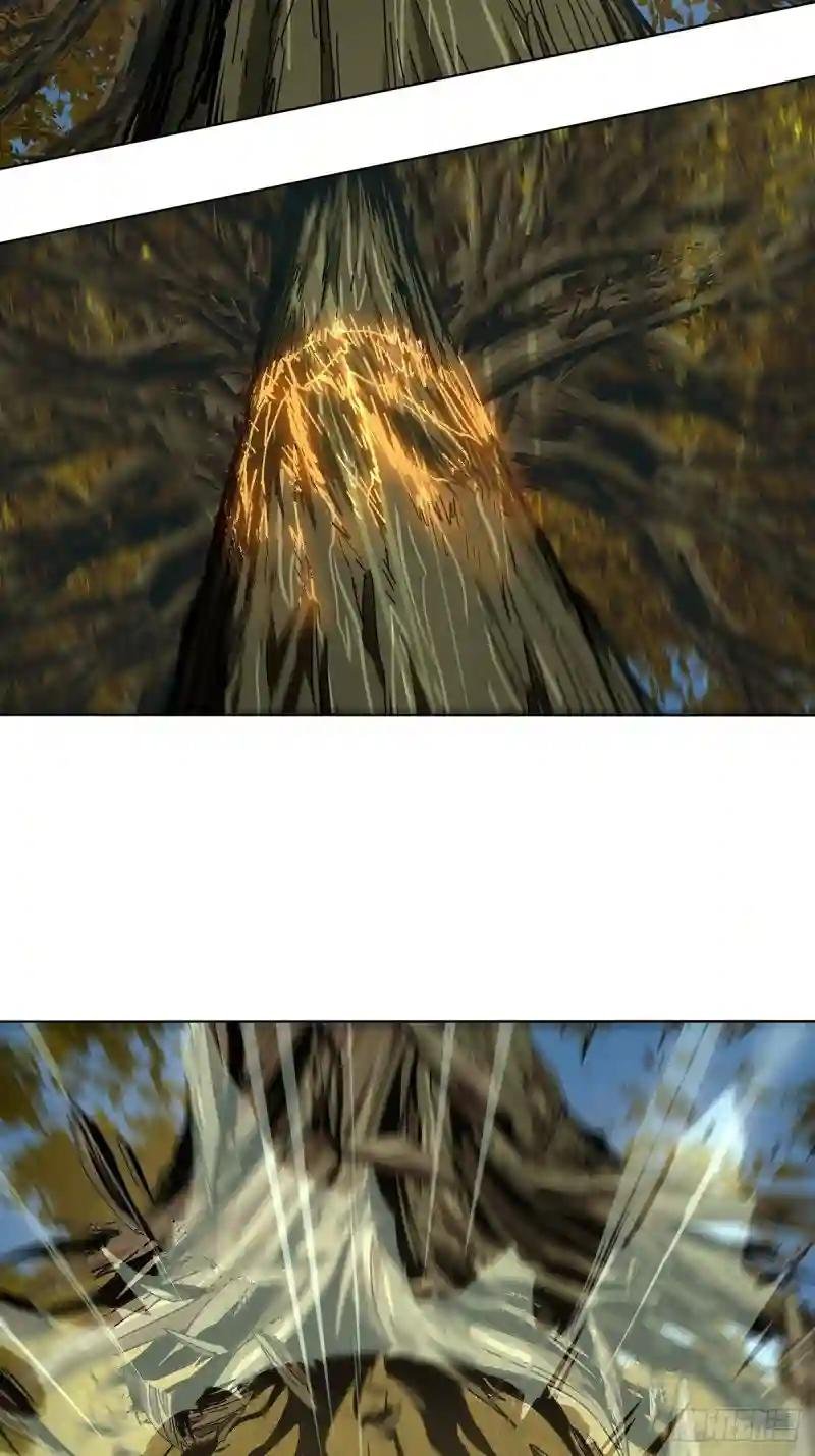 第二百二十三章\/夺魁赛开始上