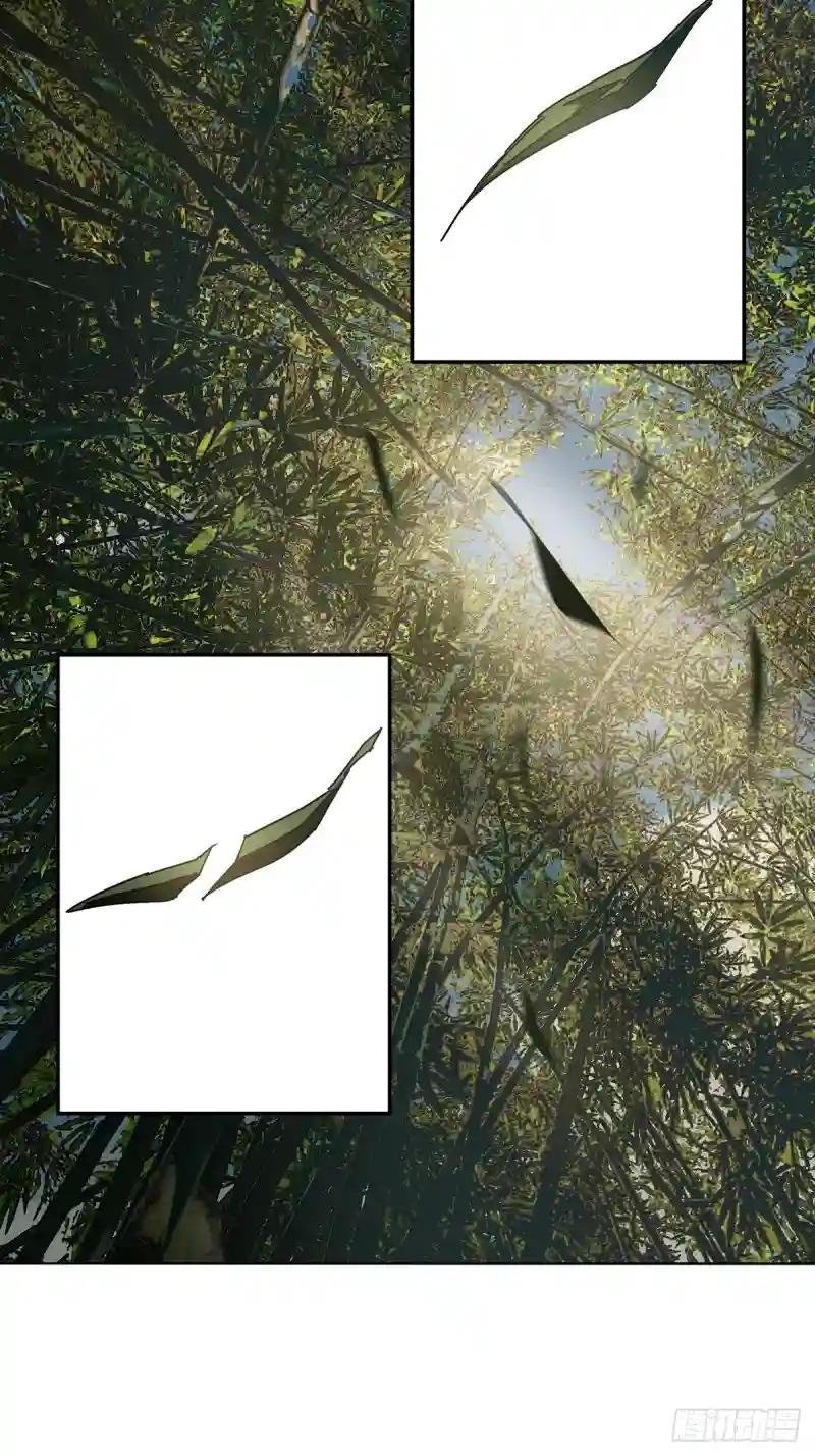 第二百二十三章\/夺魁赛开始上