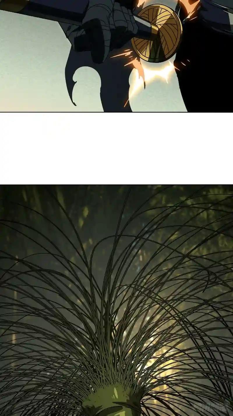 第二百二十三章\/夺魁赛开始上